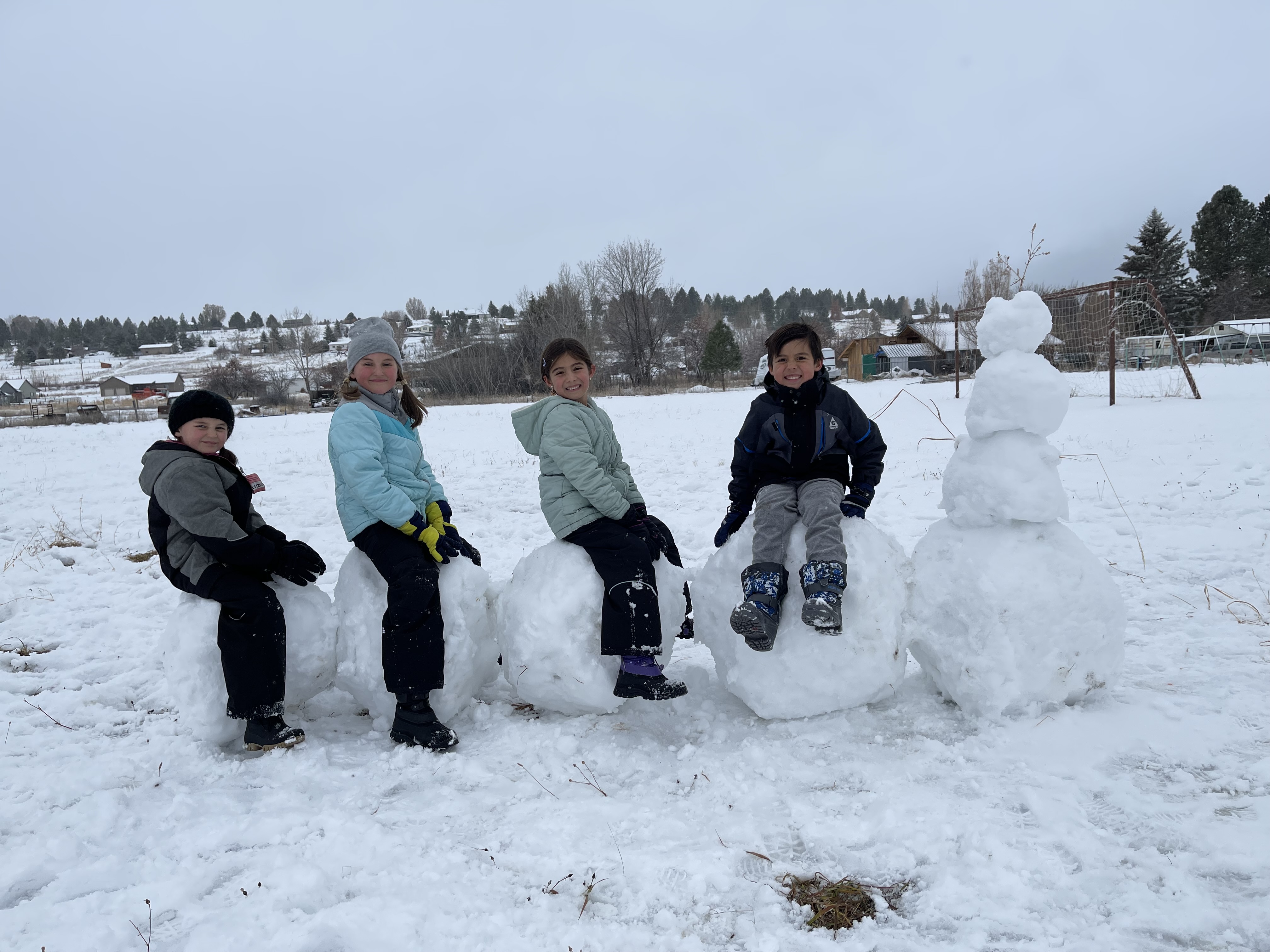 SnowCaterpillar